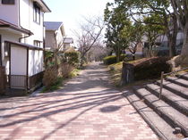 RIMG0796.JPG
